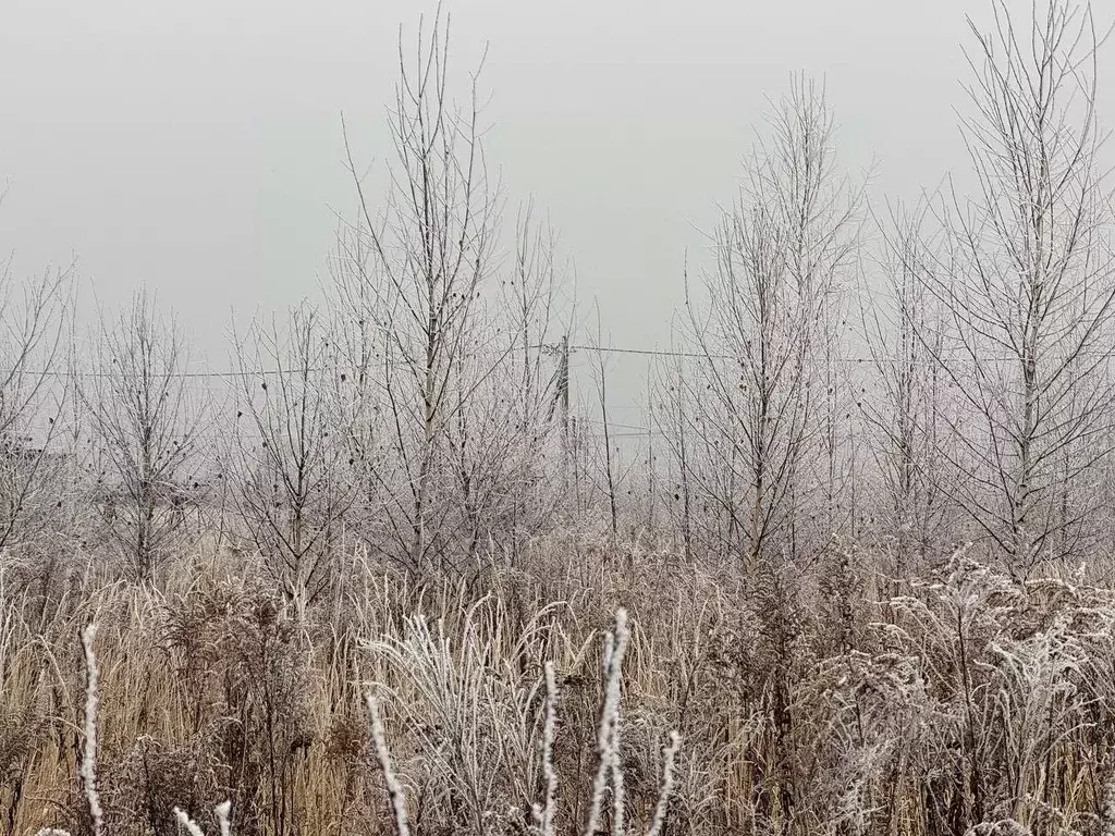 Участок в Московская область, Кашира городской округ, д. Тарасково  ... - Фото 0