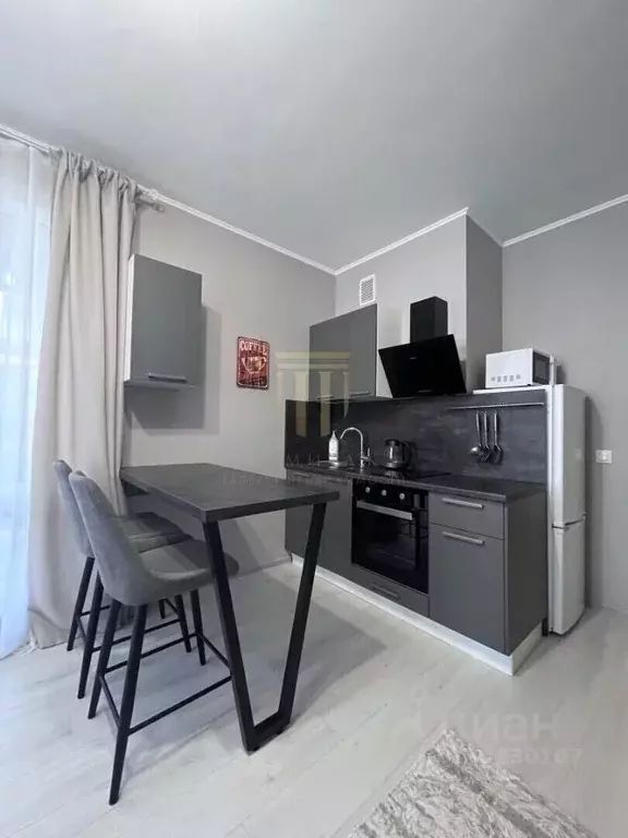 Студия Санкт-Петербург аллея Арцеуловская, 19 (27.3 м) - Фото 1