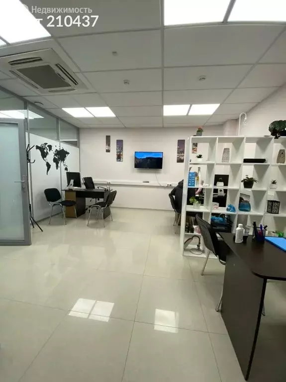 Офис (41.7 м) - Фото 1