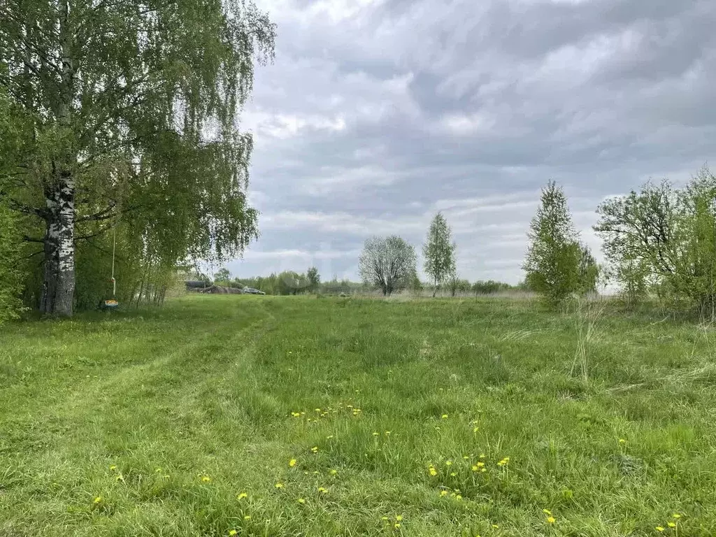 Участок в Костромская область, Красносельский район, Шолоховское ... - Фото 0