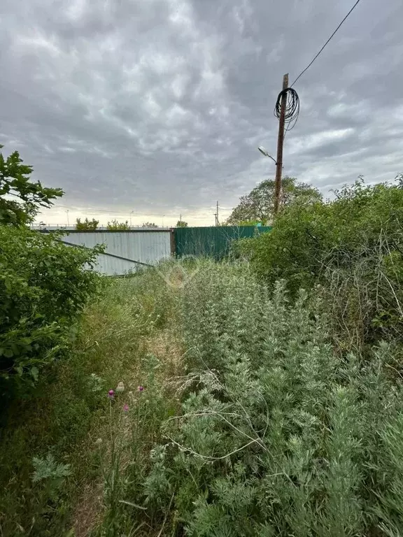 Участок в Волгоградская область, Среднеахтубинский район, Кировское ... - Фото 0