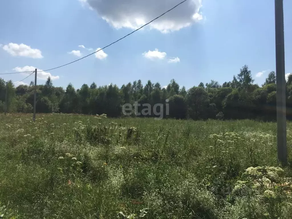 Участок в Калужская область, Бабынинский муниципальный округ, ... - Фото 1