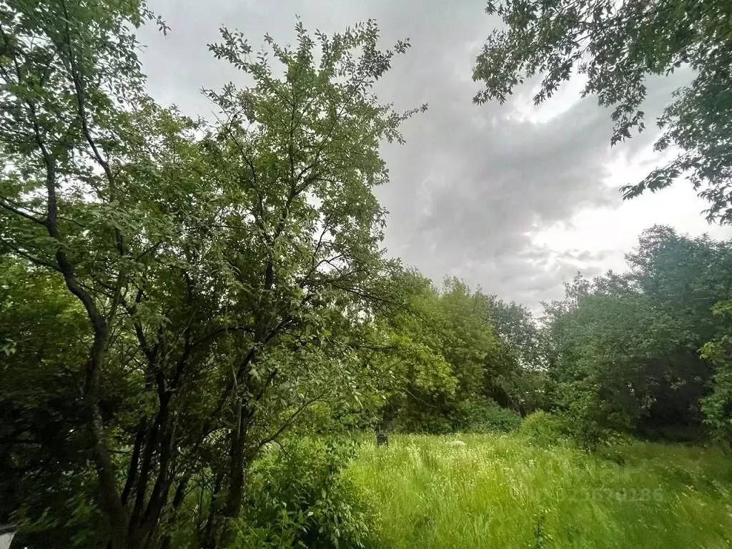 Участок в Московская область, Одинцовский городской округ, д. Калчуга  ... - Фото 1