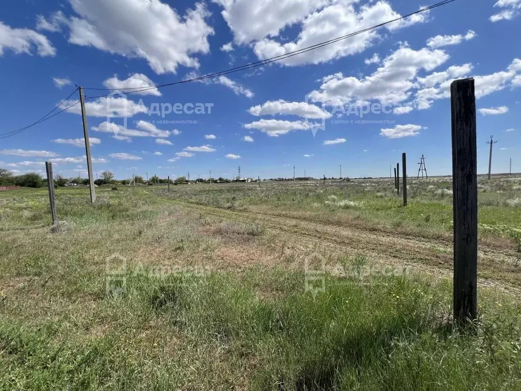 Участок в Волгоградская область, Светлоярский район, Дубовоовражное ... - Фото 2