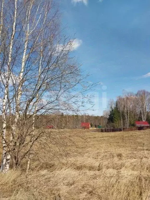 Участок в Коми, Сыктывдинский район, Шошка муниципальное образование, ... - Фото 1