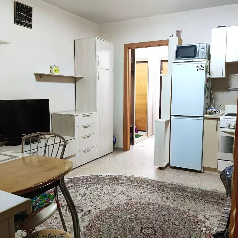 Студия Красноярский край, Красноярск ул. Калинина, 177 (26.0 м) - Фото 2