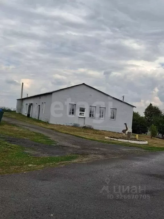 Помещение свободного назначения в Белгородская область, Вейделевский ... - Фото 1