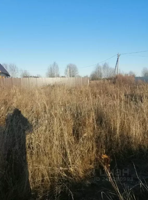 Участок в Нижегородская область, Богородский муниципальный округ, д. ... - Фото 1