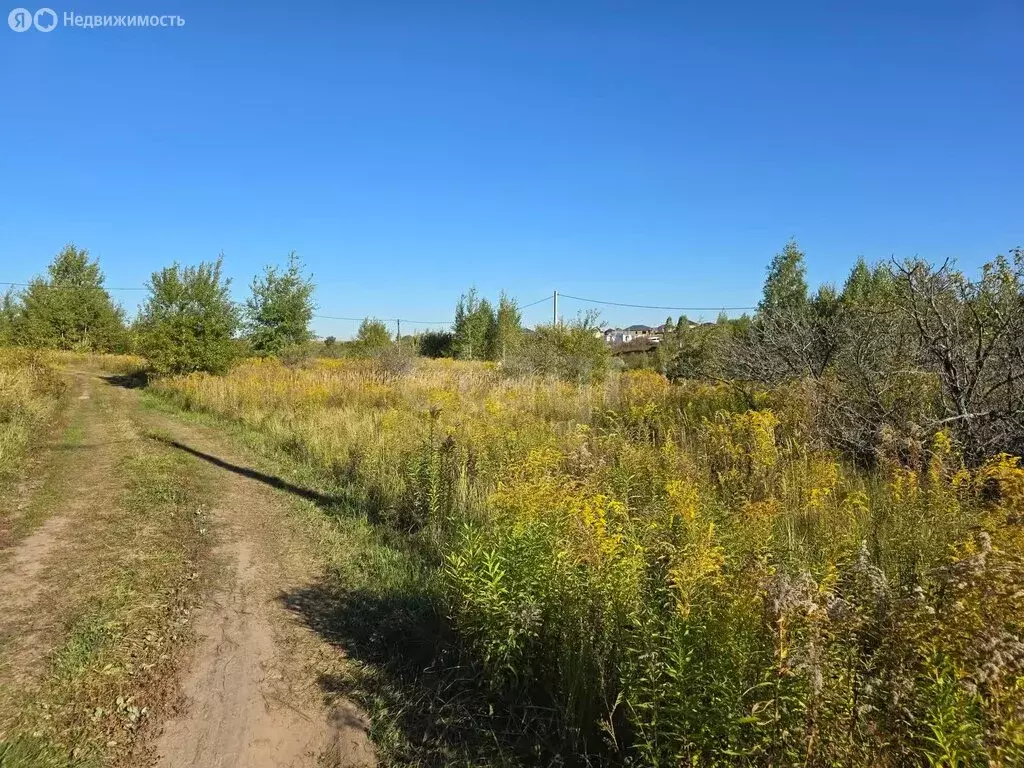 Участок в Добрунь, садоводческое некоммерческое товарищество Пищевик ... - Фото 1