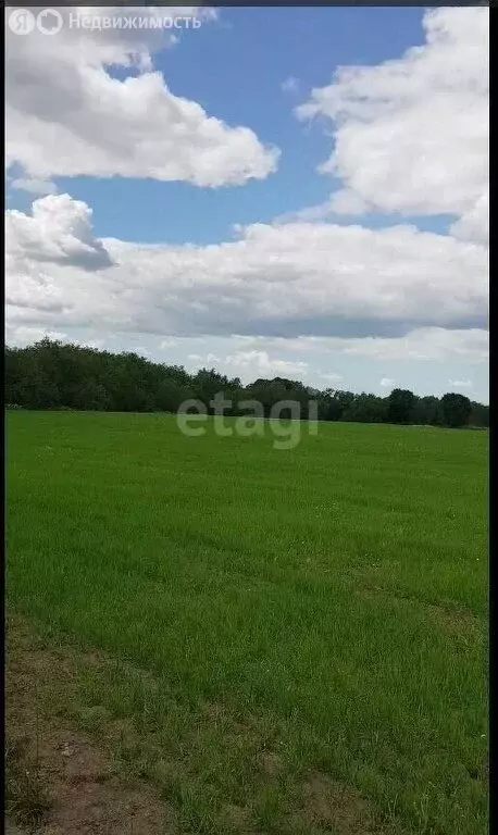 Участок в Калининград, улица Подполковника Емельянова (510 м) - Фото 1