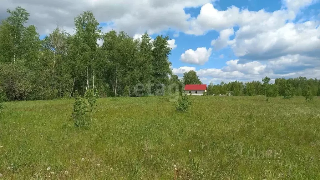 Участок в Челябинская область, Красноармейский район, Озерное с/пос, ... - Фото 1