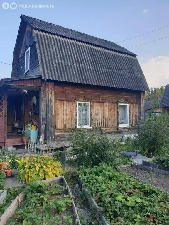 Дом в Свердловская область, Нижний Тагил (36 м) - Фото 0