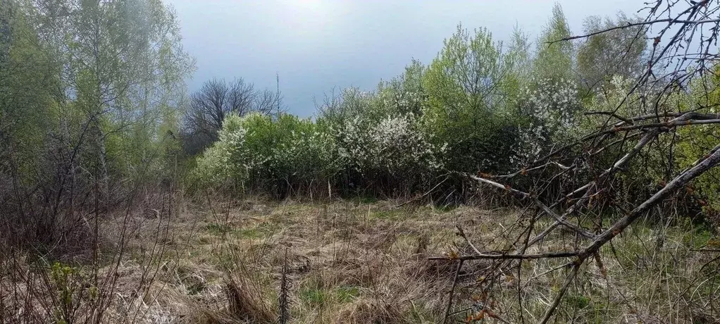 Участок в Московская область, Луховицы Росинка садовое товарищество,  ... - Фото 2