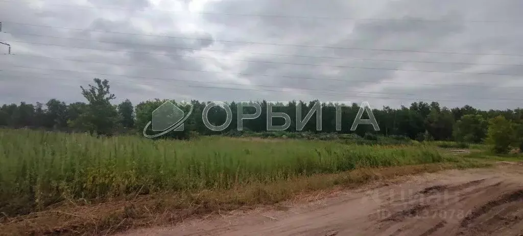 Участок в Тюменская область, Тюменский муниципальный округ, д. Тураева ... - Фото 1