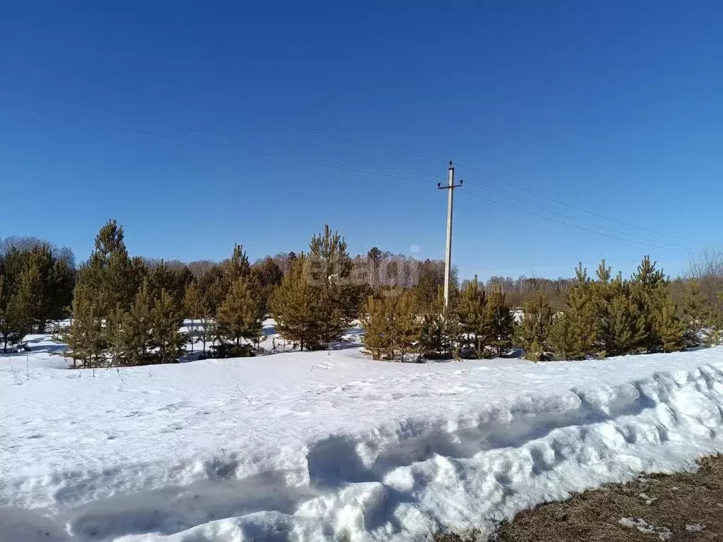 Участок в Тюменская область, Нижнетавдинский район, д. Красный Яр  ... - Фото 0