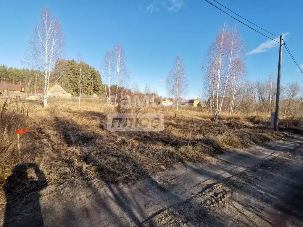 Участок в Томская область, Томский район, Лесная дача СНТ 328 (5.72 ... - Фото 2