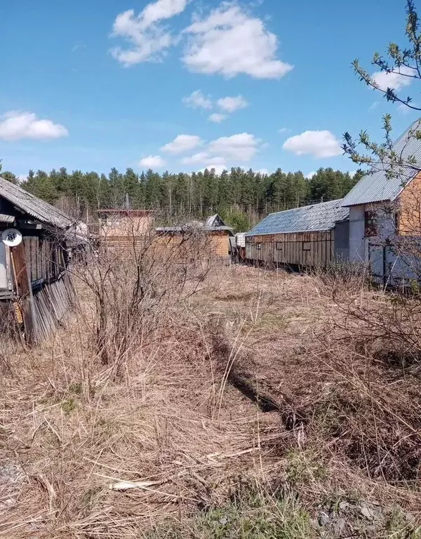Дом в Свердловская область, Лесной № 4 КС, ул. Солнечная, 84 (22 м) - Фото 2