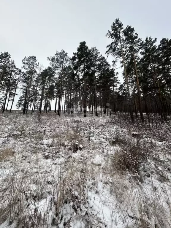 Участок в Бурятия, Улан-Удэ пос. Верхняя Березовка,  (10.0 сот.) - Фото 0