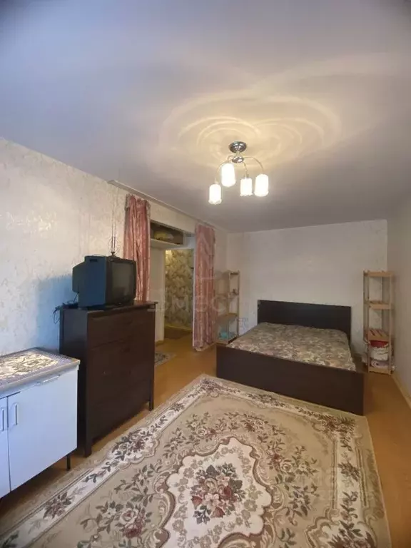 1-к кв. Новосибирская область, Новосибирск ул. Пермитина, 10 (31.0 м) - Фото 1
