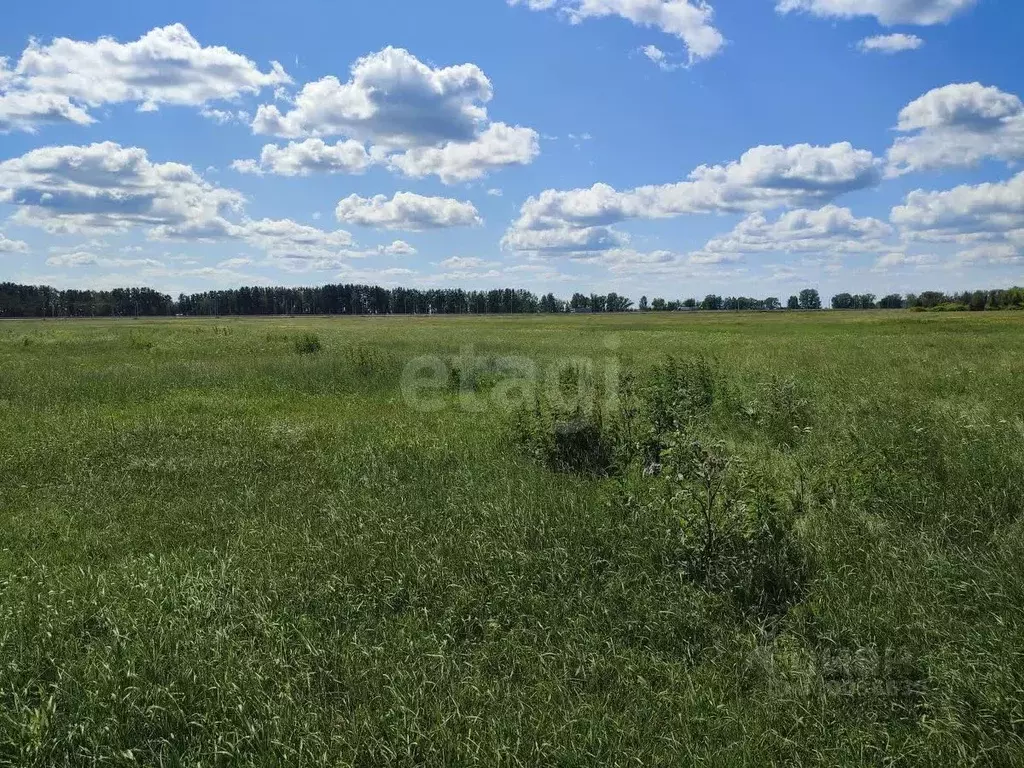 Участок в Тюменская область, Тюменский район, с. Щербак  (7.51 сот.) - Фото 1