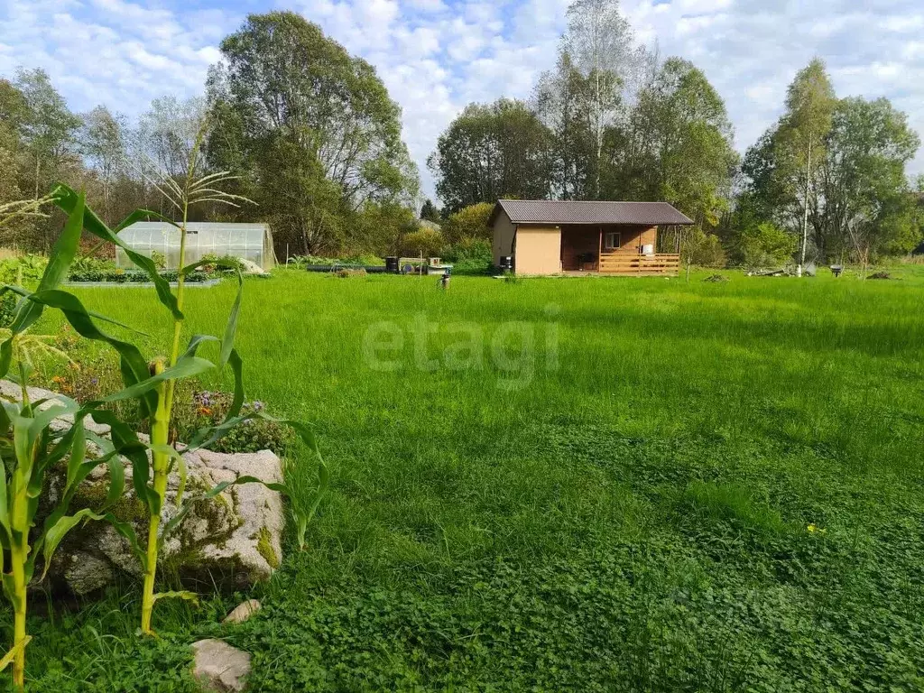 Участок в Ленинградская область, Волосовский район, Сабское с/пос, д. ... - Фото 1