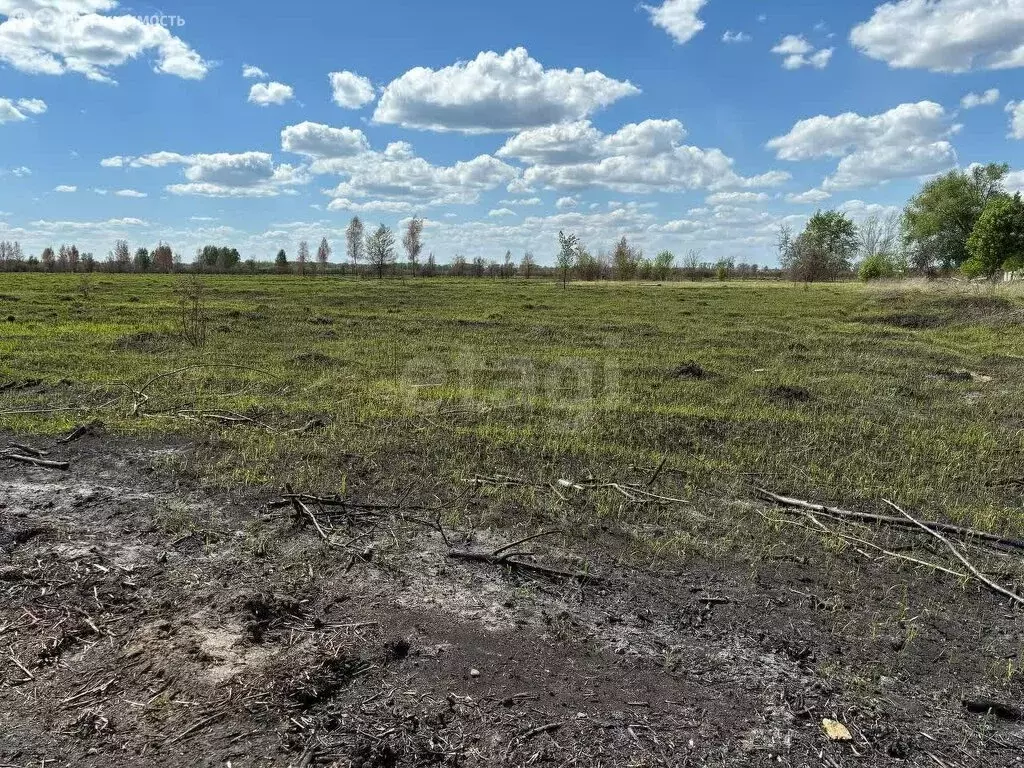 Участок в Рамонский район, село Берёзово (5 м) - Фото 1