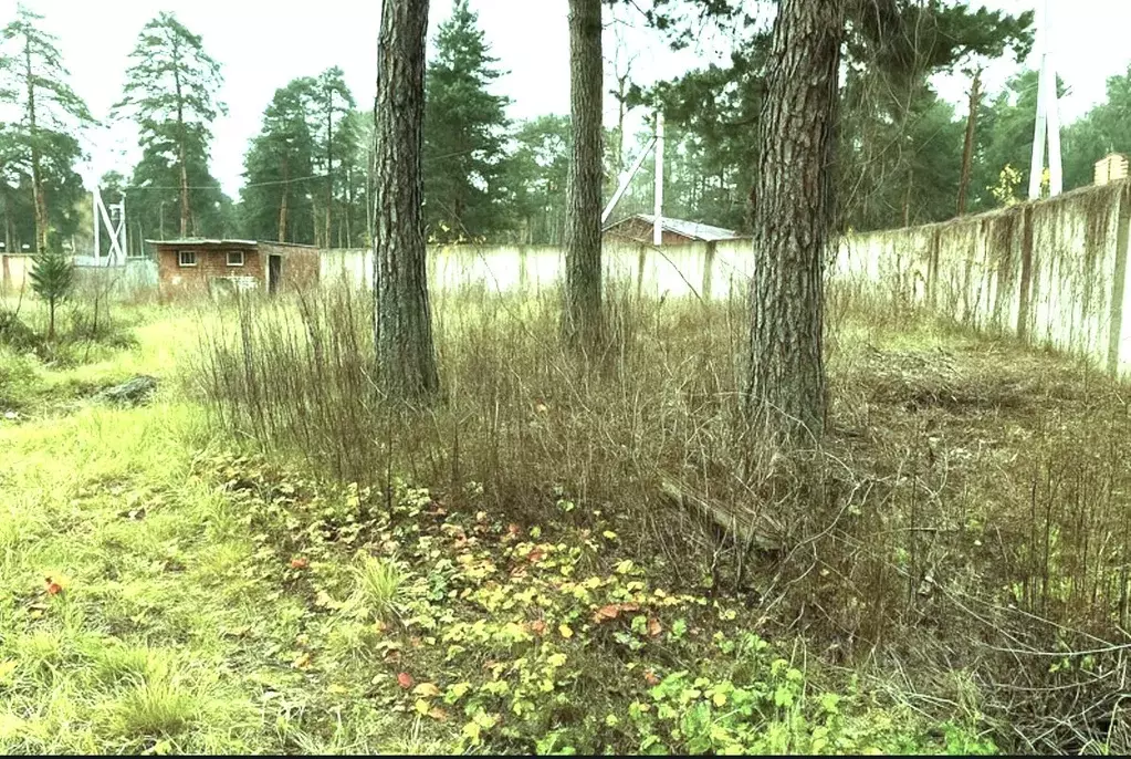 Участок в Московская область, Люберцы городской округ, Малаховка пгт ... - Фото 1