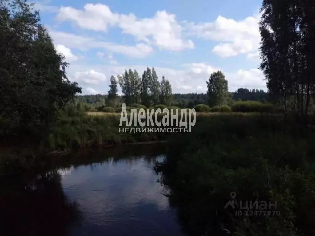 Участок в Ленинградская область, Приозерский район, Раздольевское ... - Фото 0