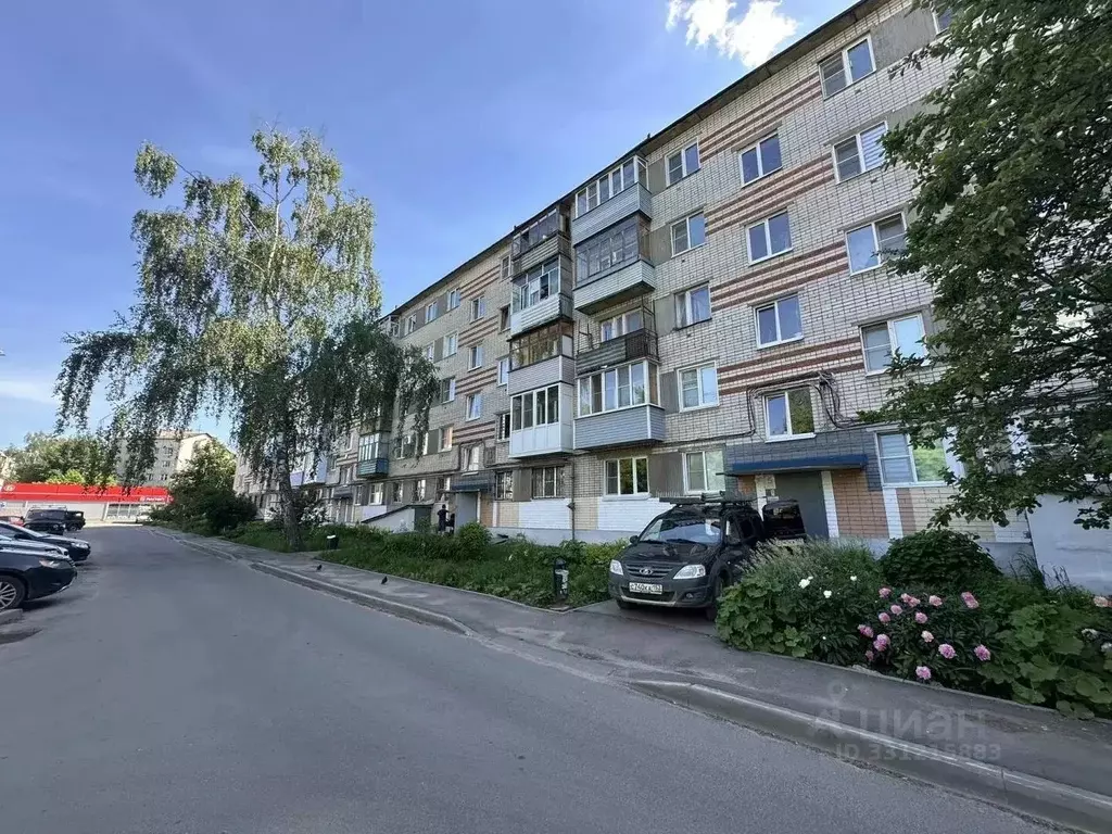 1-к кв. Нижегородская область, Кстово 3-й мкр, 13 (31.2 м) - Фото 1