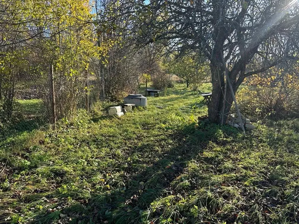 Участок в Тверская область, Калязинский муниципальный округ, д. ... - Фото 2
