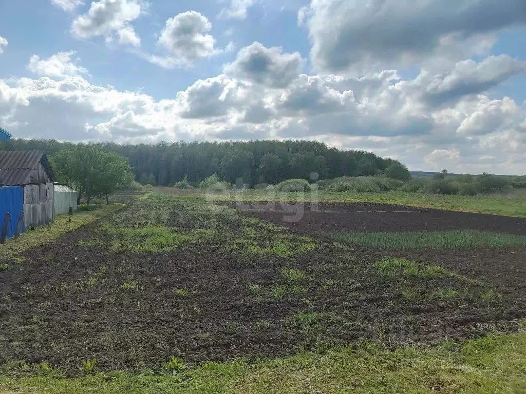 Участок в Белгородская область, Красногвардейский район, ... - Фото 1