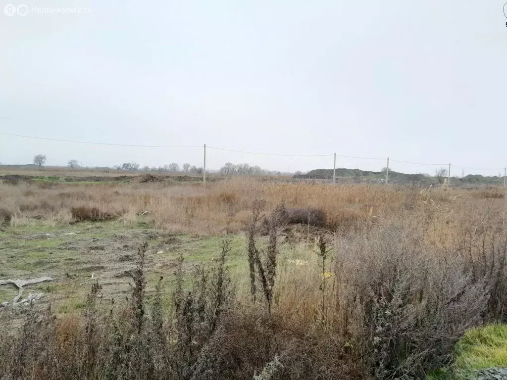 Участок в Батайск, Клеверная улица, 62 (4.2 м) - Фото 1