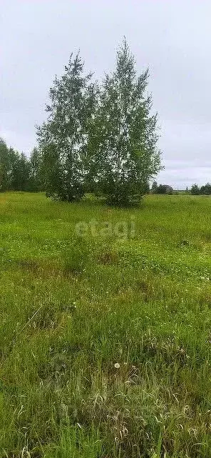 Участок в Курганская область, Кетовский муниципальный округ, с. ... - Фото 0