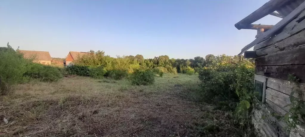 Участок в Саратовская область, Воскресенский район, Синодское ... - Фото 1