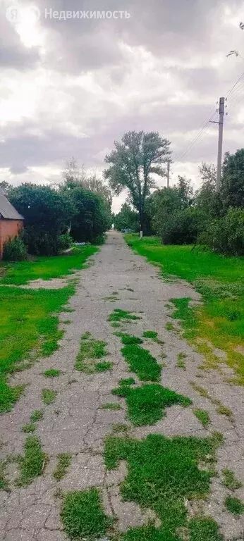 Дом в Советский район, Пушкинское муниципальное образование, станция ... - Фото 1