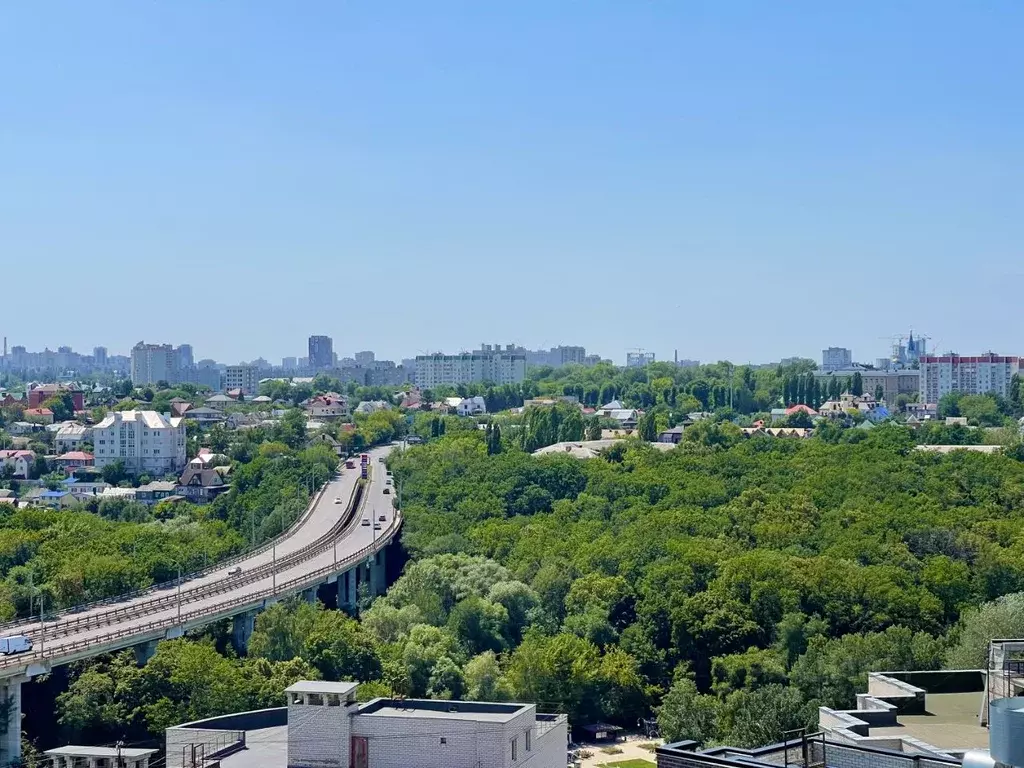 1-к кв. Воронежская область, Воронеж ул. Березовая Роща, 4Ак2 (43.0 м) - Фото 1