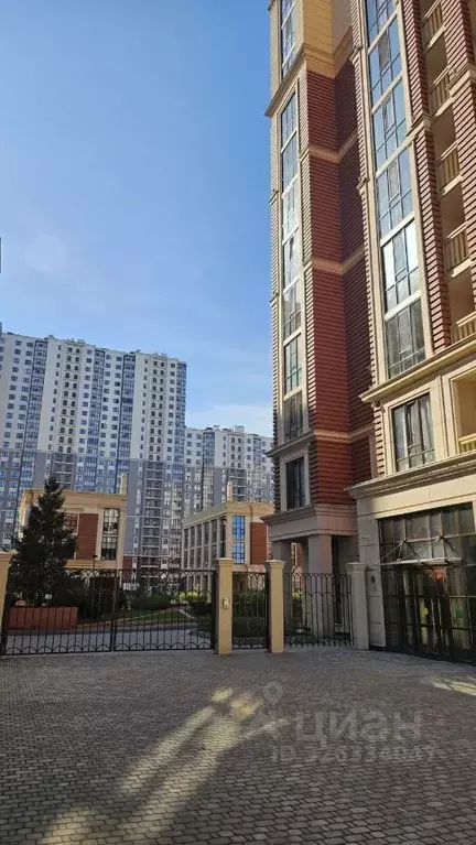 1-к кв. Санкт-Петербург ул. Дыбенко, 8к2 (46.0 м) - Фото 1