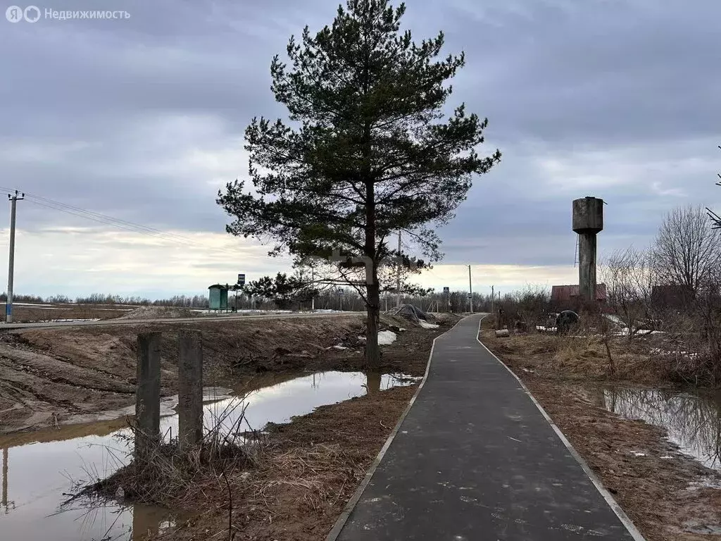 Участок в Московская область, городской округ Клин, деревня Дятлово ... - Фото 1