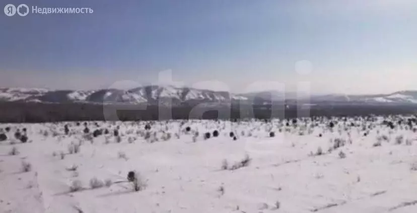 Участок в Айский сельсовет, территория Черемшанка (10 м) - Фото 1