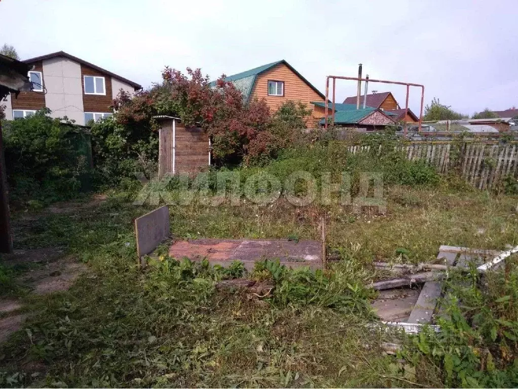 Участок в Новосибирская область, Новосибирский район, Мичуринский ... - Фото 1