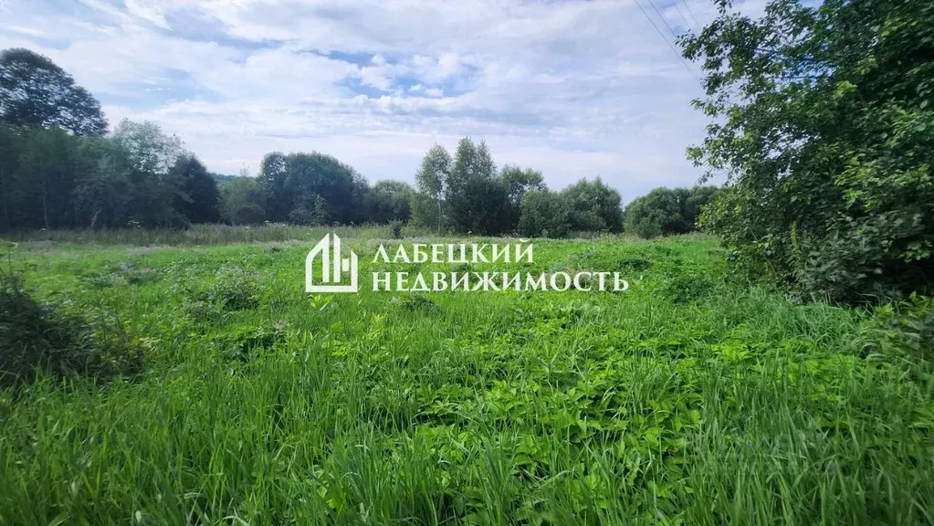 Участок в Орловская область, Болховский район, Хуторское с/пос, с. ... - Фото 2