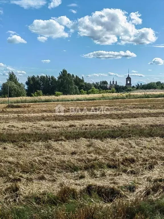 Участок в Владимирская область, Суздальский район, Селецкое ... - Фото 2