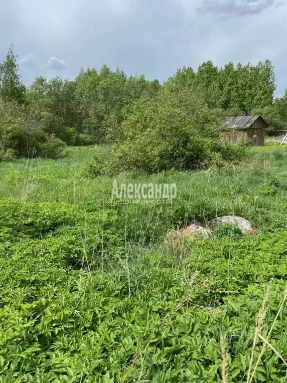 Участок в Ленинградская область, Приозерский район, Ларионовское ... - Фото 0