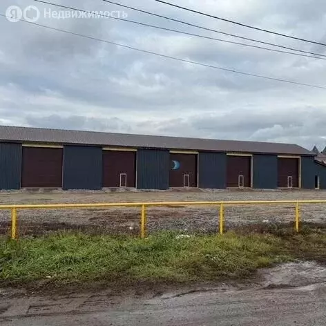 Склад (1650 м) - Фото 1