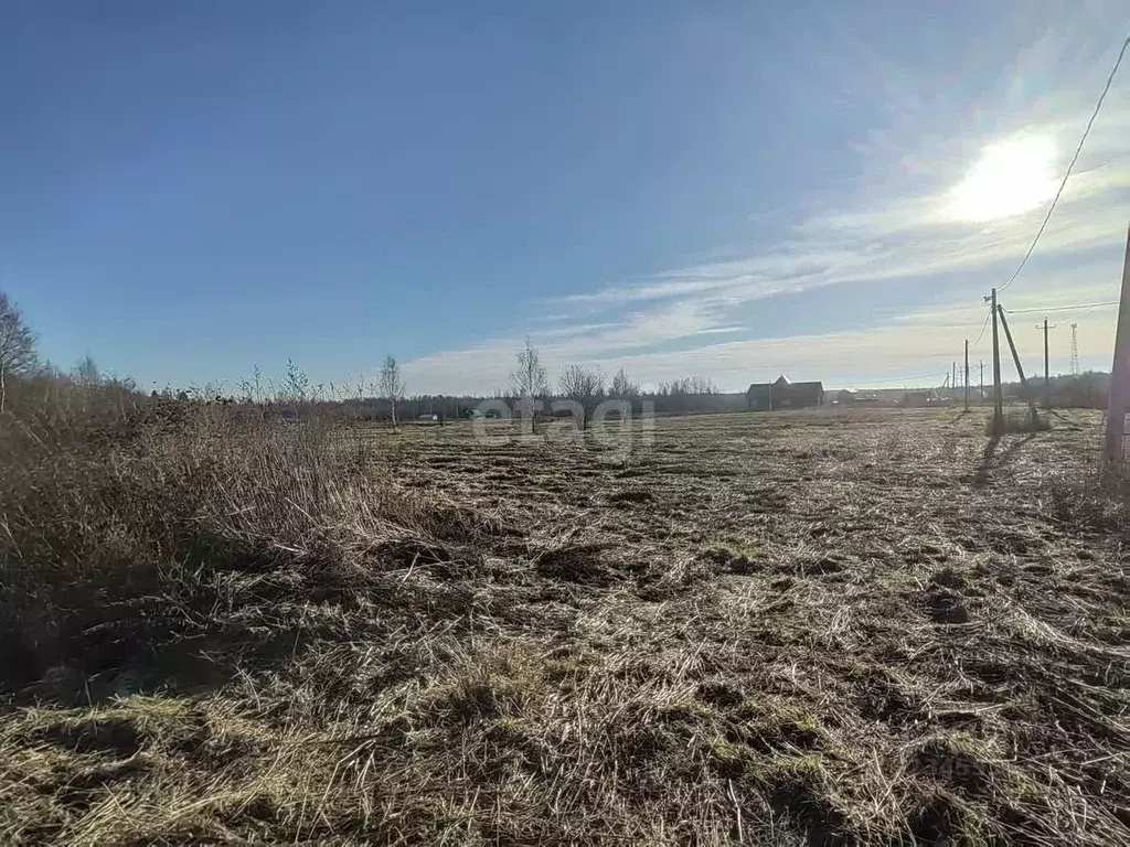 Участок в Ярославская область, Переславль-Залесский муниципальный ... - Фото 1