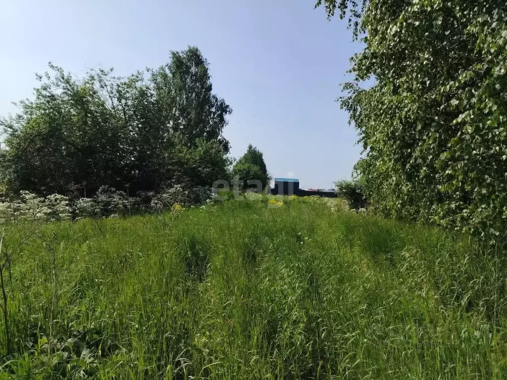 Участок в Томская область, Томский район, д. Кандинка  (12.4 сот.) - Фото 1