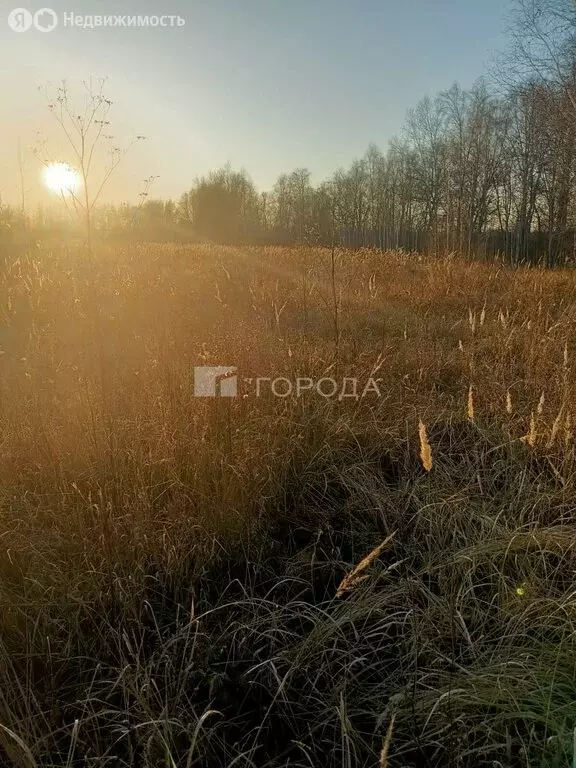 Участок в Толмачёвский сельсовет, коттеджный посёлок Богатырь (8.8 м) - Фото 0