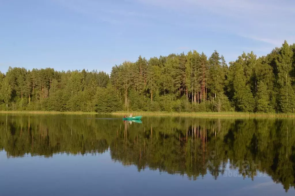 Комната Новгородская область, Валдайский район, Рощинское с/пос, д. ... - Фото 0