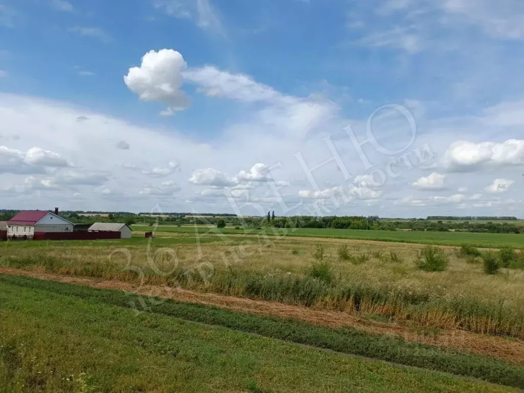 Участок в Воронежская область, Новоусманский район, с. Рогачевка ул. .,  Купить земельный участок Рогачевка, Новоусманский район, ID объекта -  20006641756