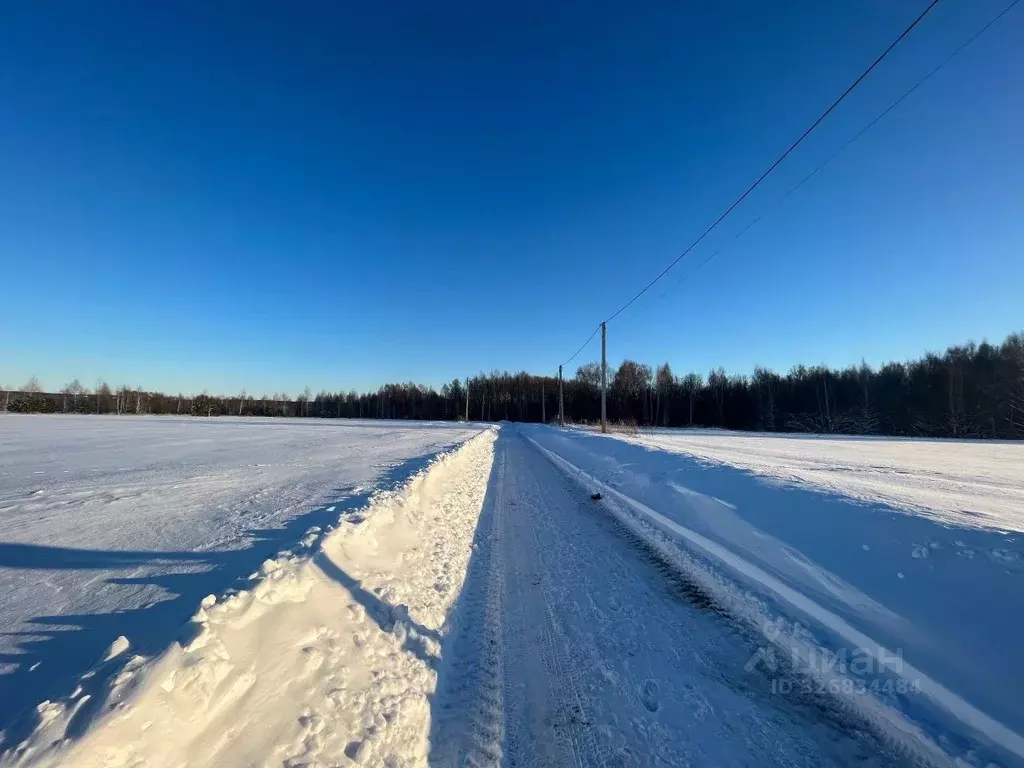 Дом в Татарстан, Лаишевский район, Егорьевское с/пос, с. Бима  (75 м) - Фото 2